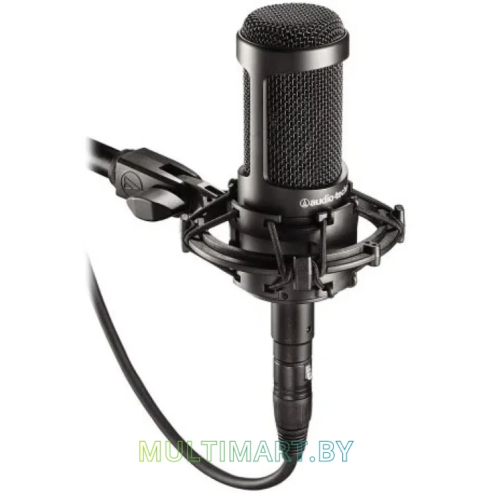 Микрофон Audio-Technica AT2035